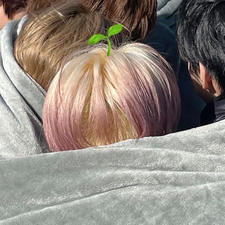 I change my mind, vanillapink Jay is #1