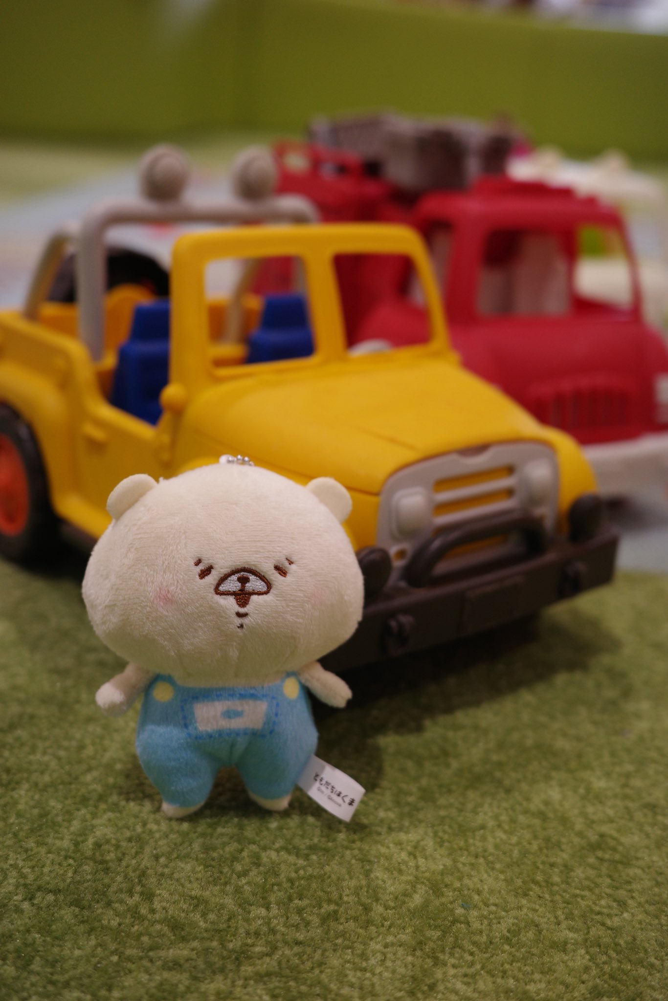 ティモシーを被った子ぐまちゃん♡(๑･㉨･๑) ご予約商品】シロクマ・だいじょうぶ〜抱っこキーホルダー（MK