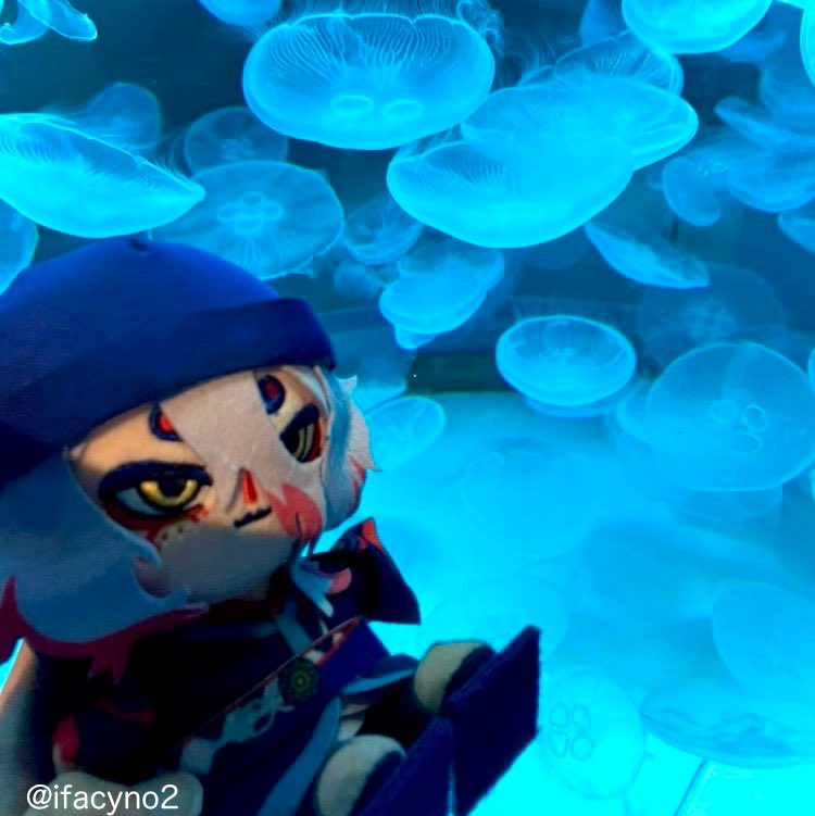 「クラゲを観ましたよ」