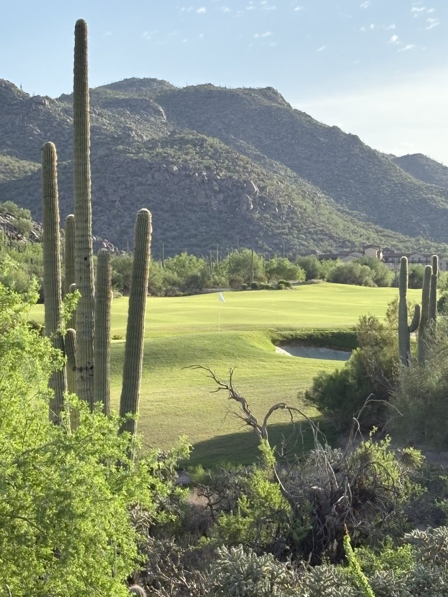 TheAndersonsPro's tweet photo. When the course looks this good, who even cares about the score? 

#TheAndersonsPro #Golf #NationalGolfMonth #CourseViews #GolfLife https://t.co/hpEOZuIvg8
