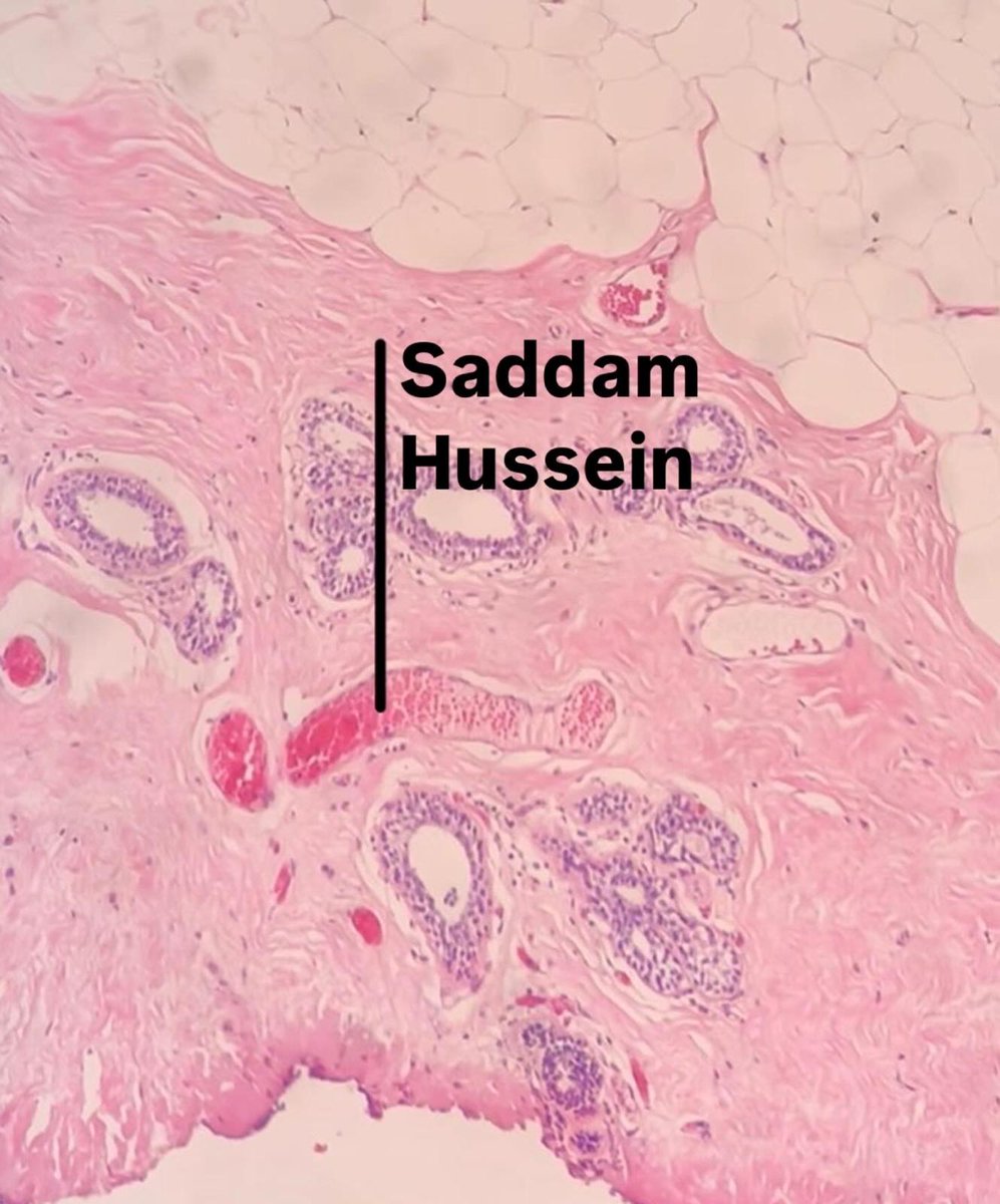 ManMilk2's tweet image. 