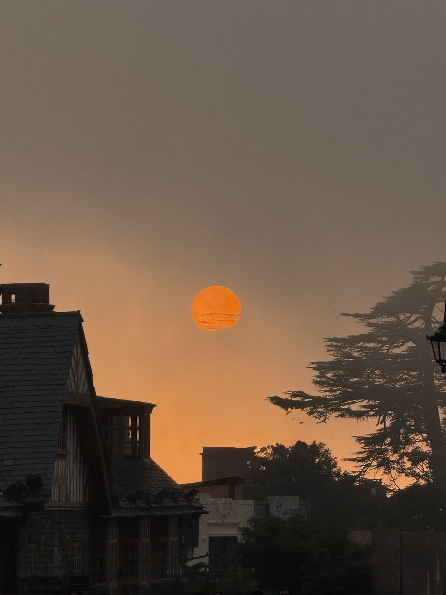 📷 (Instagram) catchynature2021

#NaturePhotography #landscape  #nature #photography #SaturdayStories #sunset #sunsetphotography