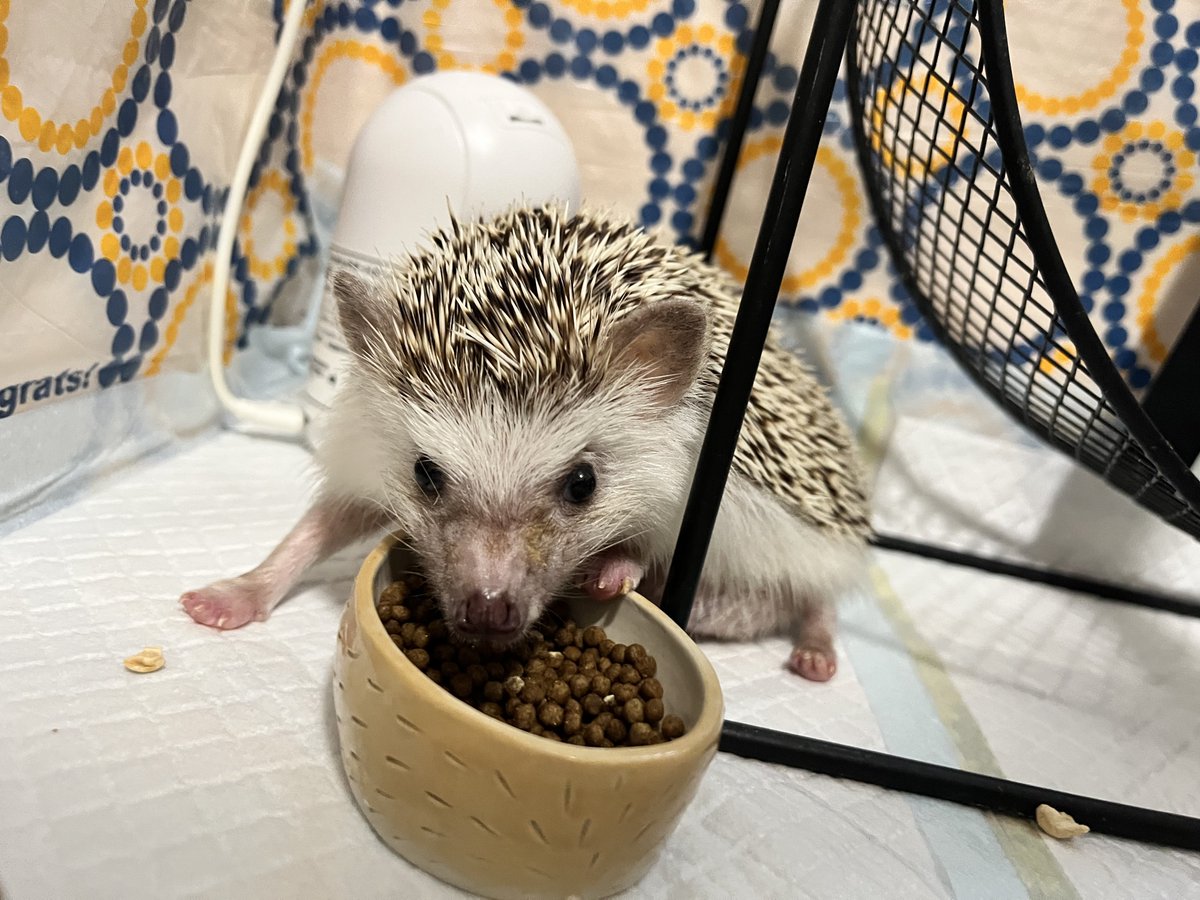 ⭐︎Moff⭐︎様へ専用ページ　2足 楽天市場】☆荘快堂 安全地下足袋 長編上靴【 TH-302F