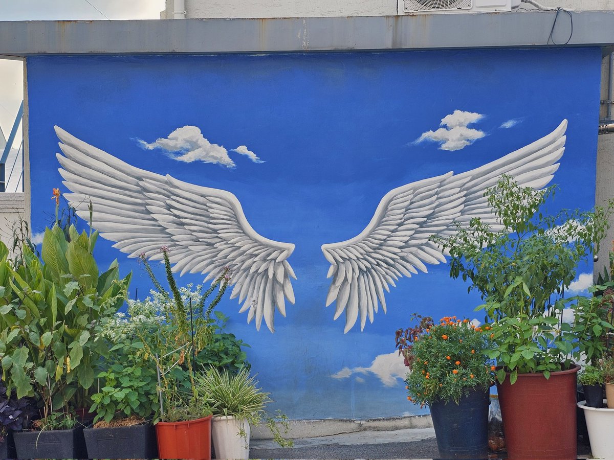 이화동 벽화마을🖼