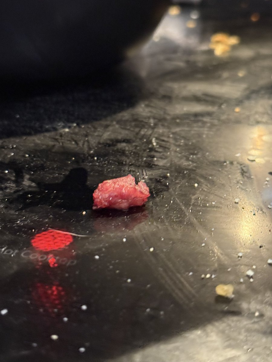 BeauvaisLauren's tweet image. it’s giving