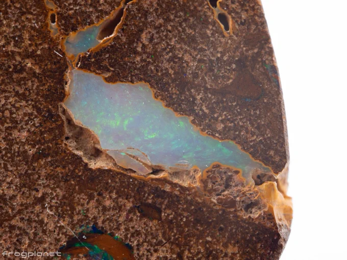 Brisbane Opal Museumで購入したオパール。 #202410_Australia