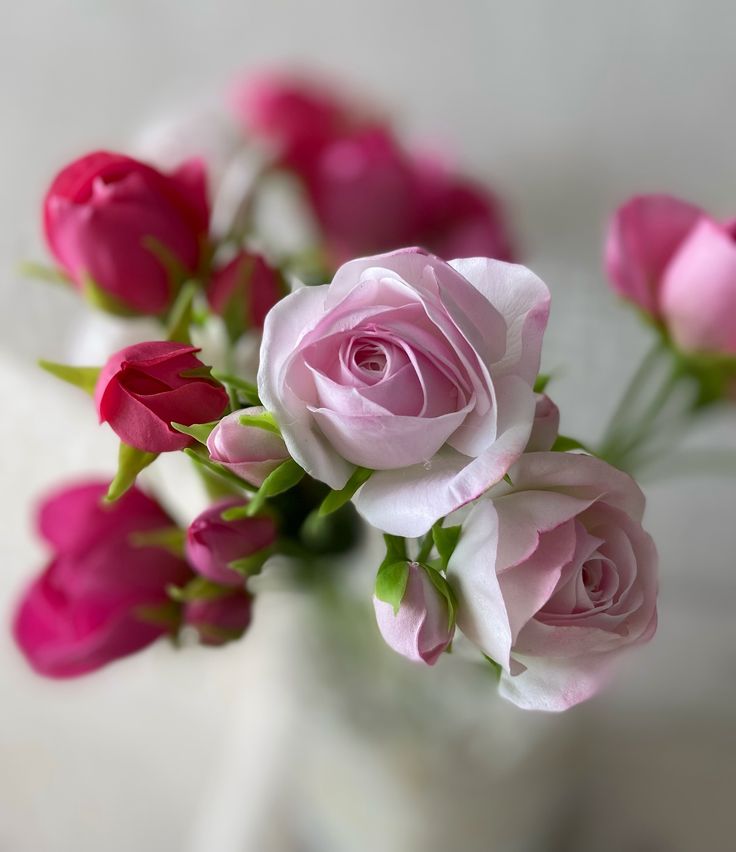 حكاية جمال لا تنتهي