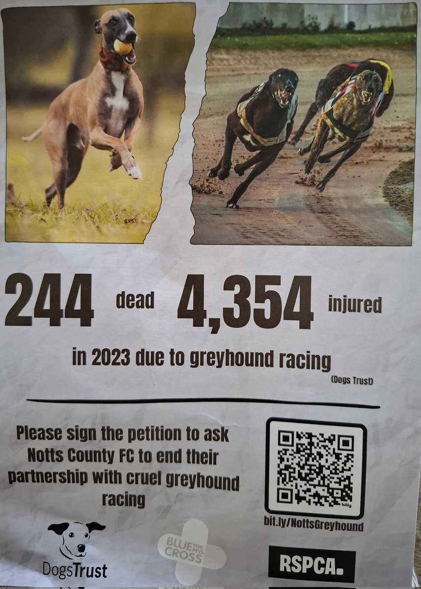 MacaroonMaid's tweet photo. Something to think about. Jake would encourage you to sign the petition in honour of his friend, Charlie. https://t.co/Mt8chjNvOL