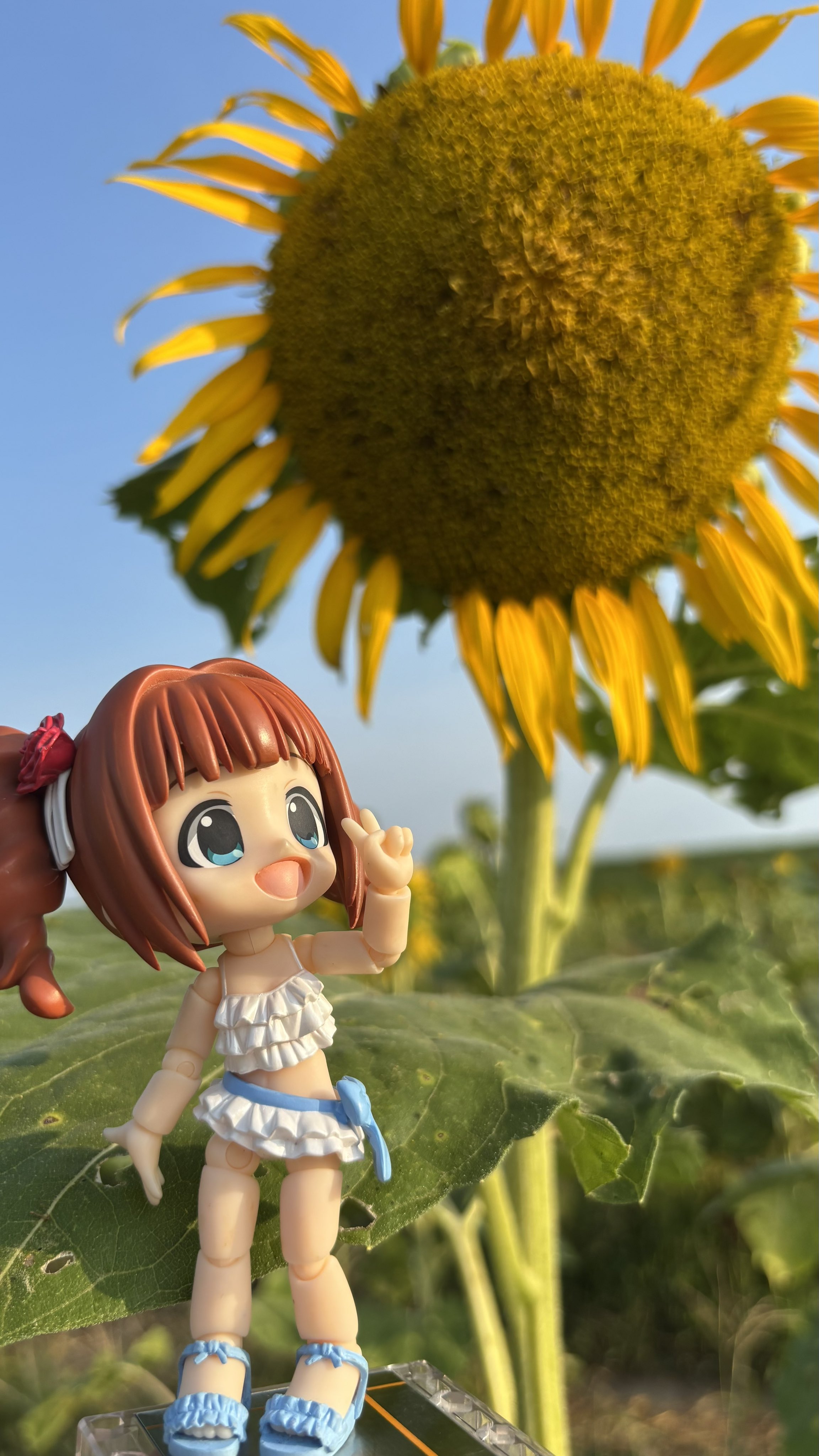 確認ページです❁⃘*.゜ シンワ測定 下地センサー Basic＋ 深部・電線探知 79154