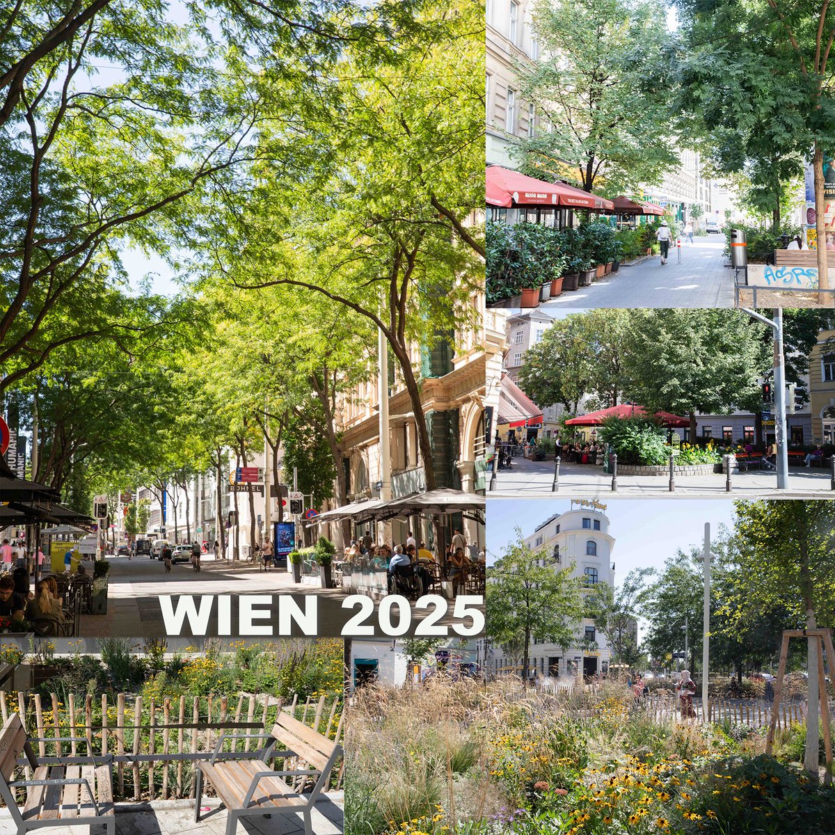 Conrad Amber tweet media