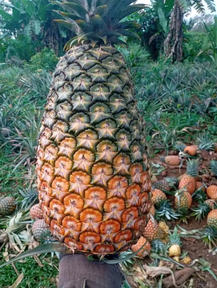 L'âge ne définit pas la maturité. Les mots ne définissent pas l’intelligence  et les rumeurs ne définissent qui tu es.💕💕💕