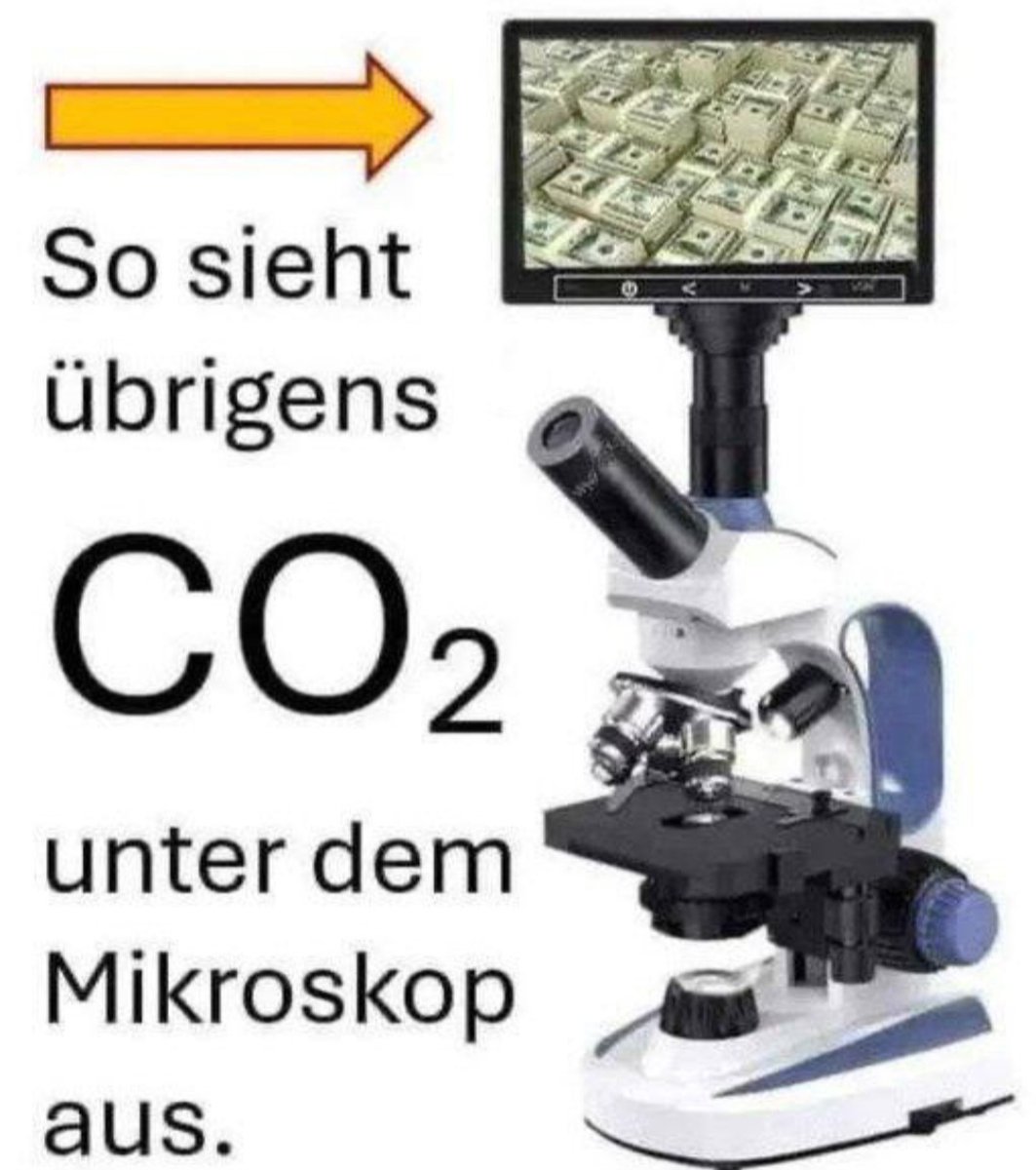 Jetzt verstehe ich! 👌🎯