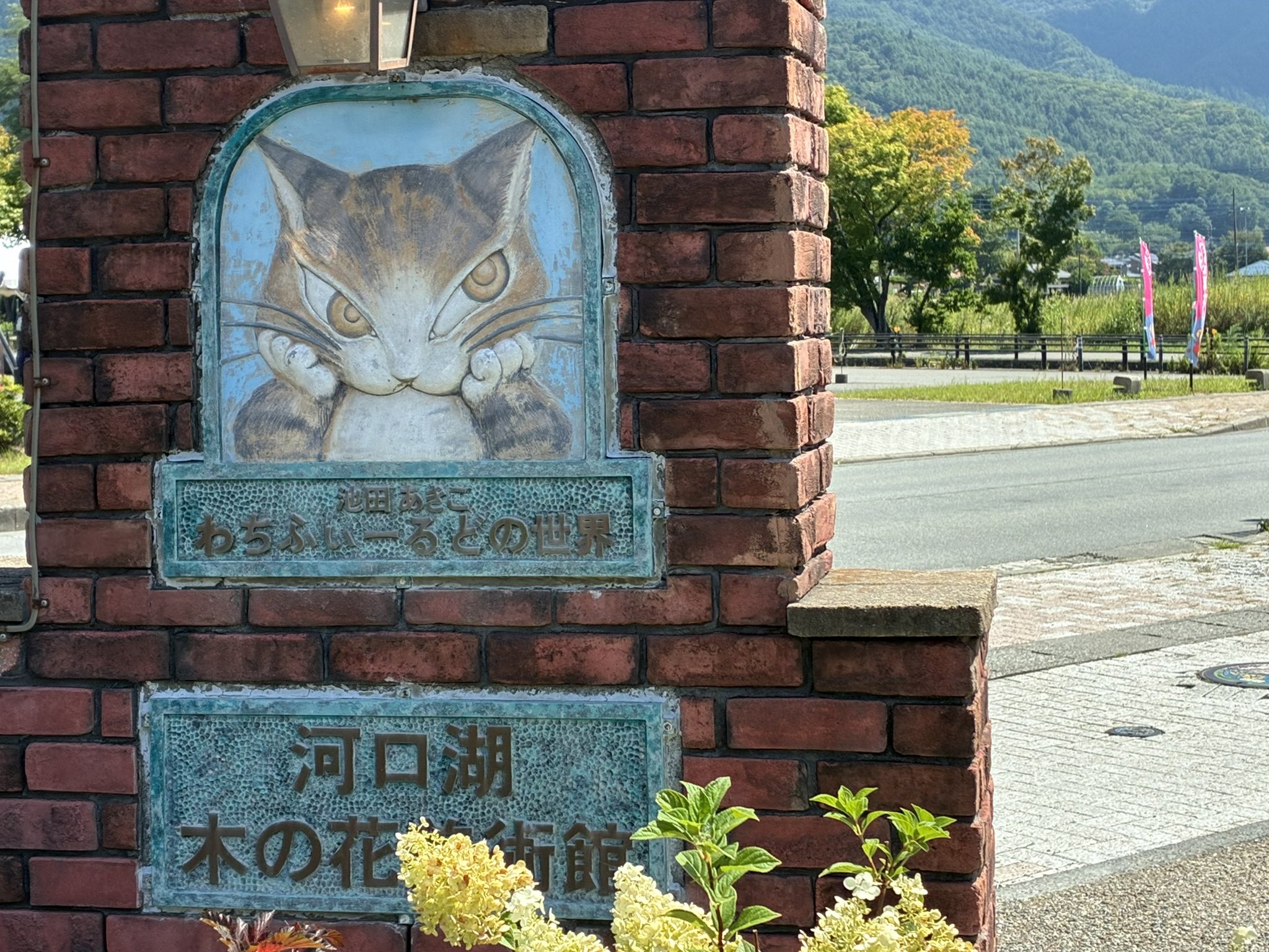 ⭕️新品未開封 ダヤンのふしぎなぼうけん〈初回生産限定・5枚組〉 猫のダヤン - Cerca / X