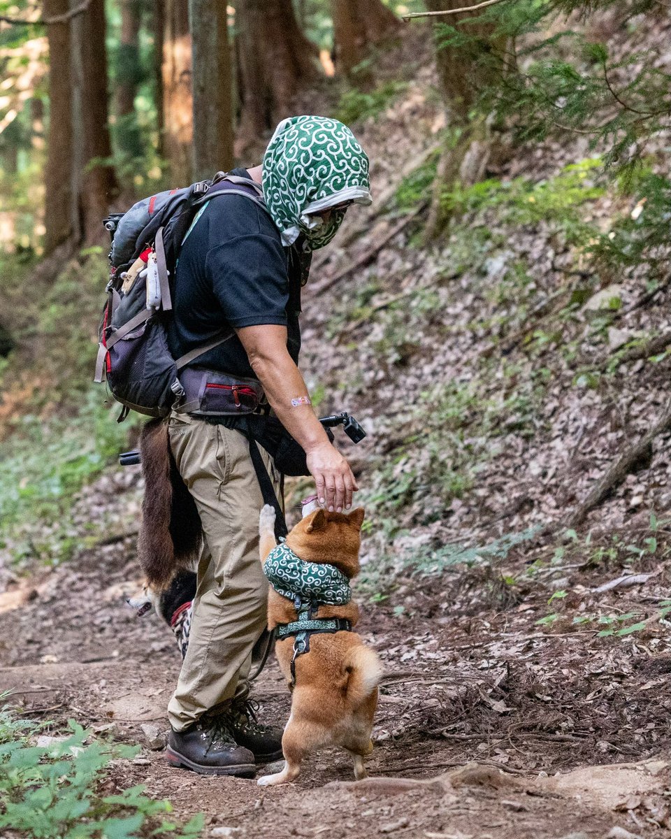 チーム感でてきたな