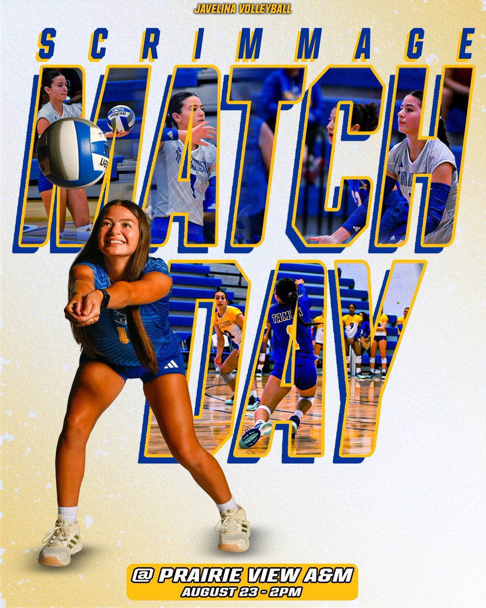 Javelina Volleyball tweet media
