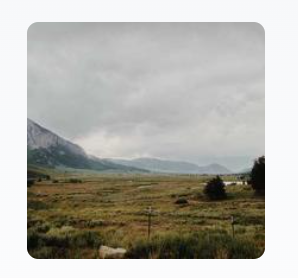 Gift Adene tweet media