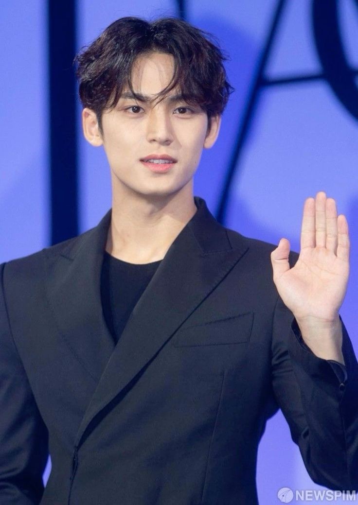 Mingyu tweet media