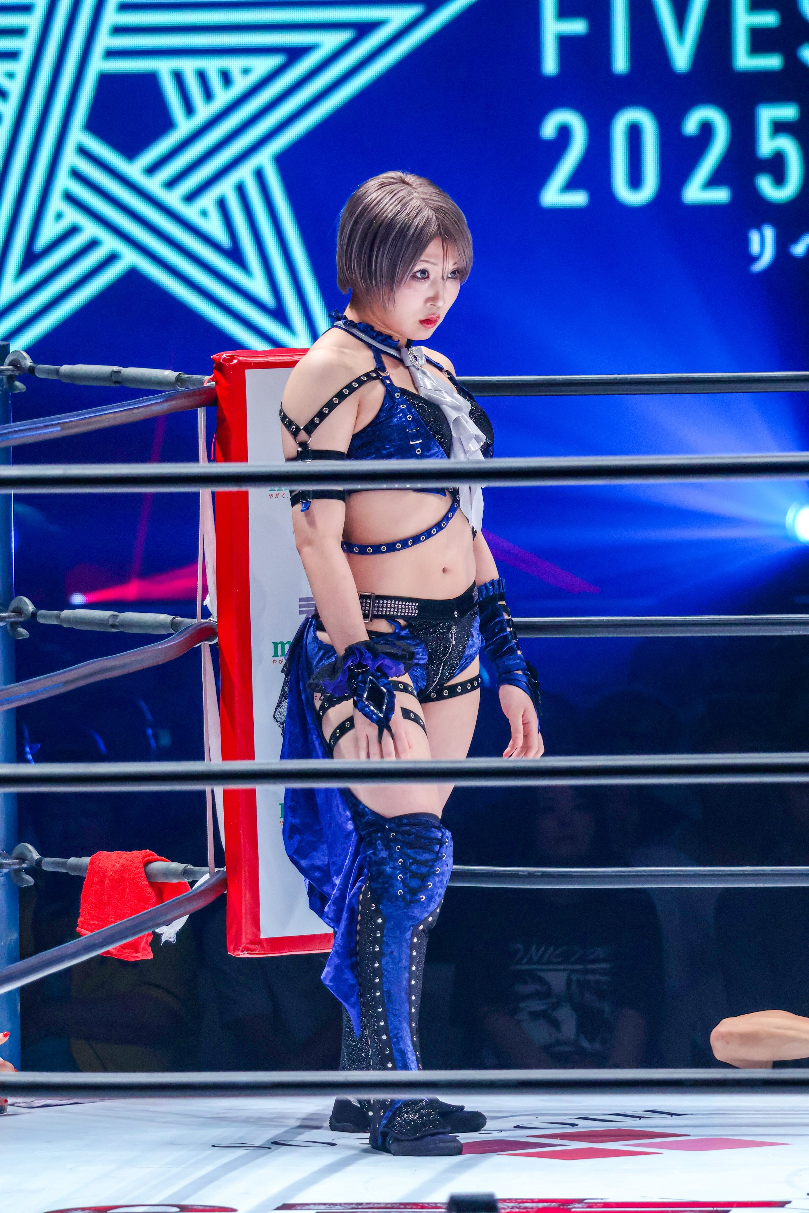 麒麟💫 on X: 
