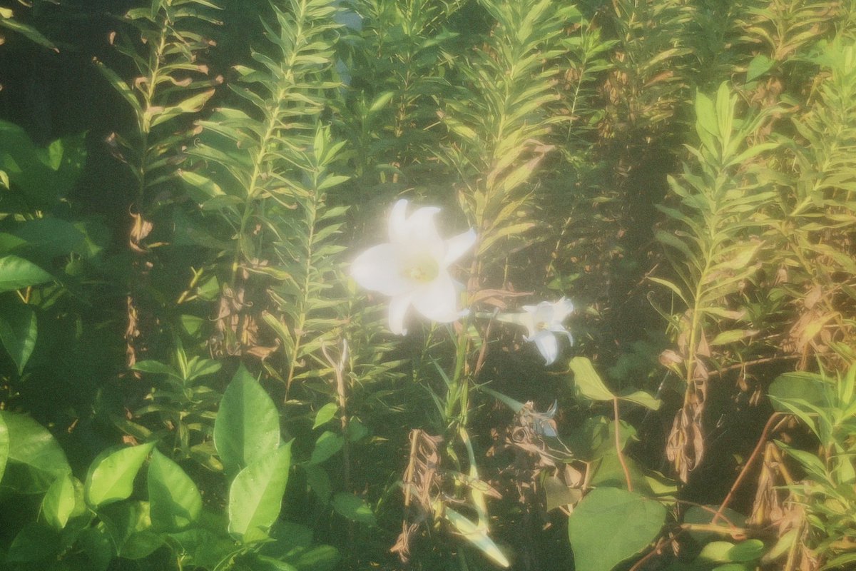 r (@__irs2) on Twitter photo 