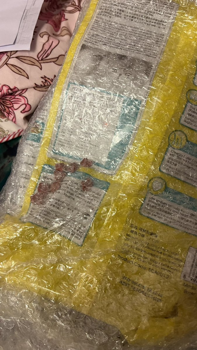 dancerali's tweet image. #JustDogs #JustDogsIndia no response to mails about rat eaten delivery box/ package inside! Big name small after sales service 😡😡