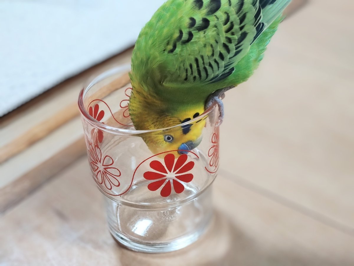 目が…😂