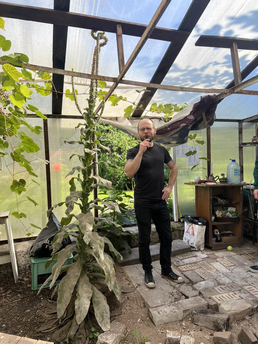 Deviņvīru spēks, bildē pa kreisi