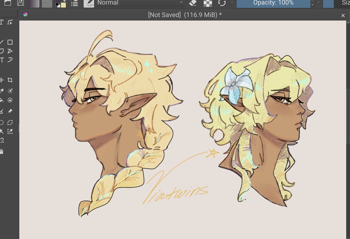 Viatwins...h...hey
#Aether #Lumine #Viatwins