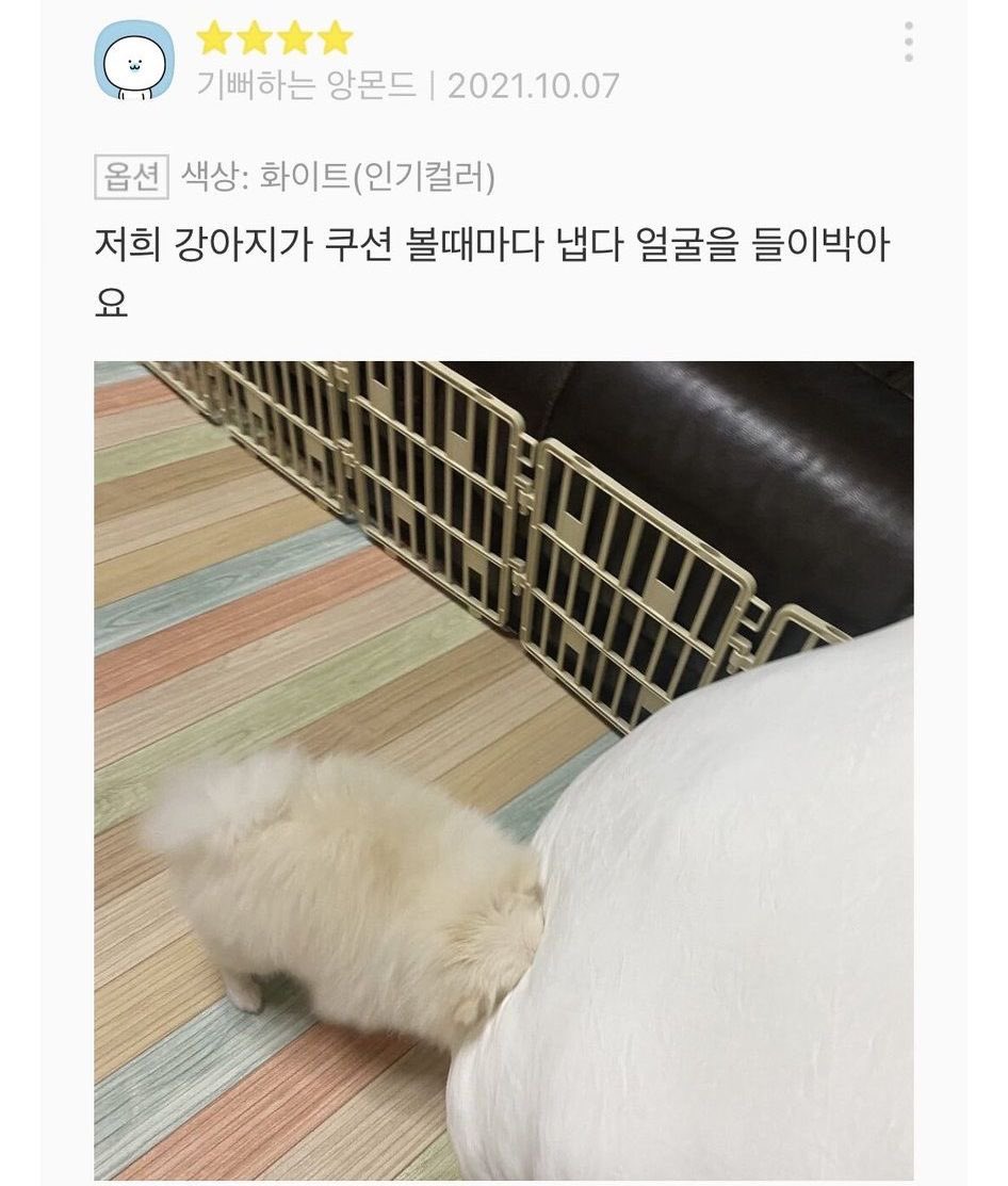 챱 (@lovx11_very) on Twitter photo 