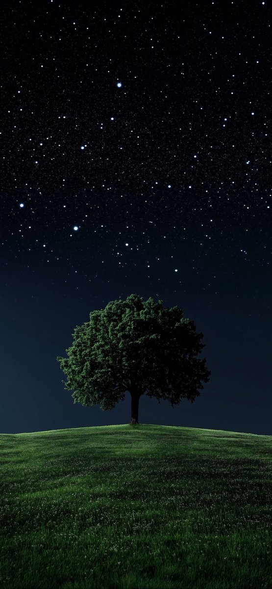 Vividsent's tweet photo. Tree.

#4kwallpaper #4k #wallpaper https://t.co/UWGgiSKR26