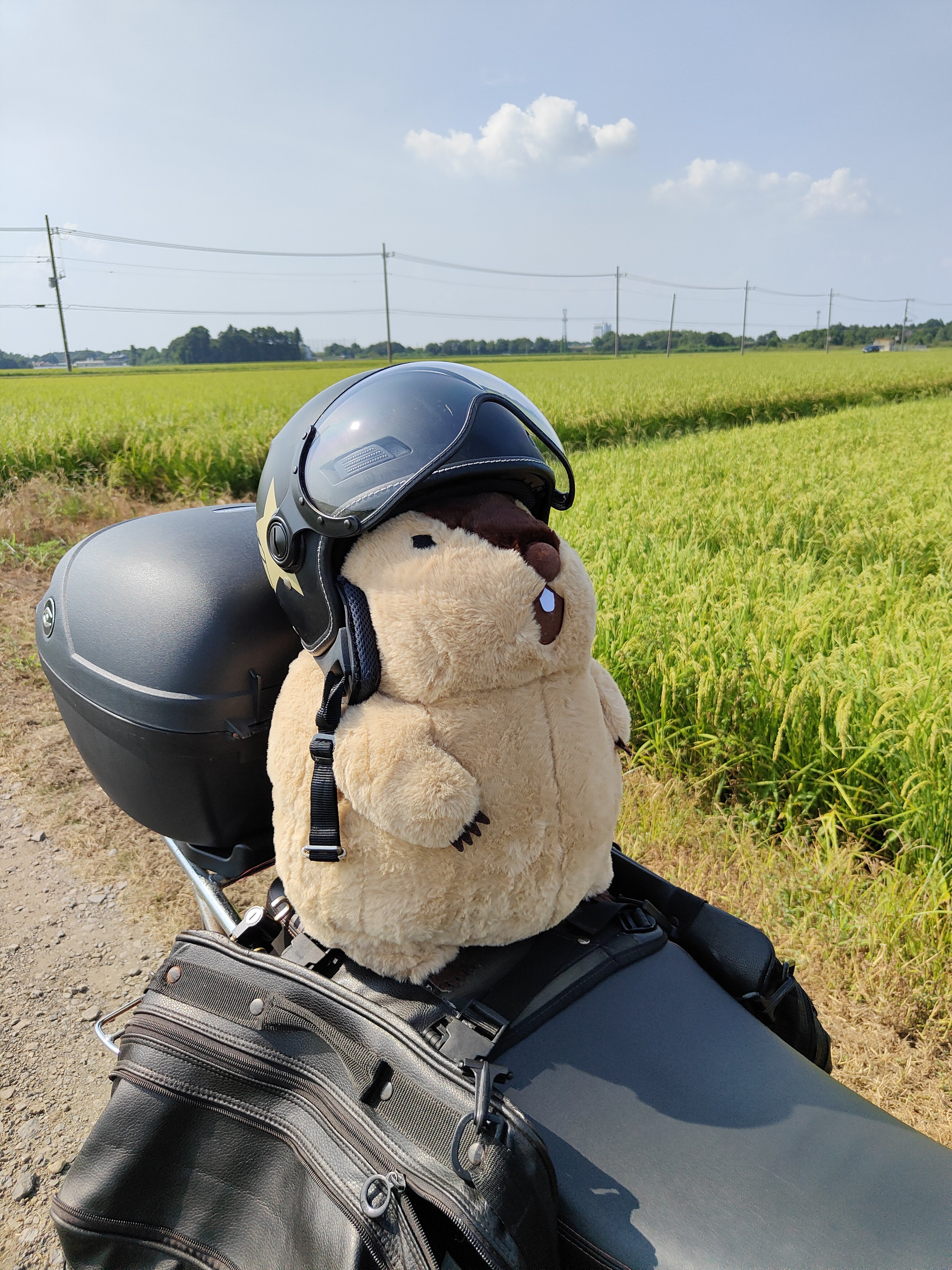マシュー・ロビン出品 セール】 【NEW BRIDGE】Super110's グレンチェックスーツ