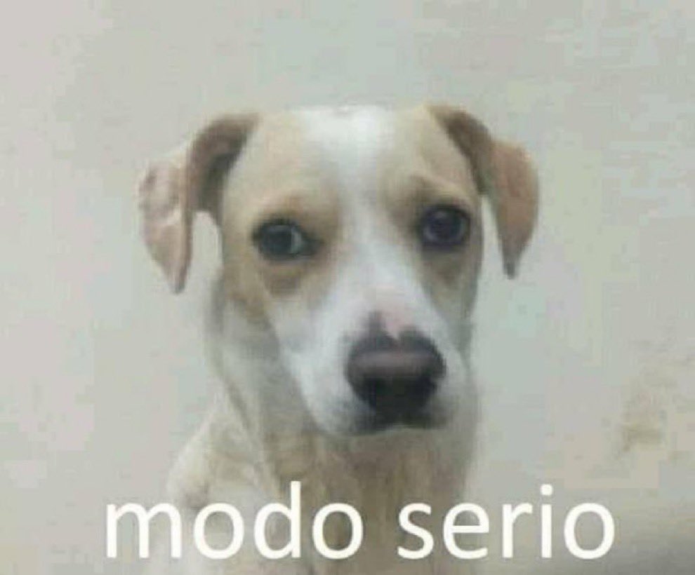 pseudo (@andrepseudo) on Twitter photo 