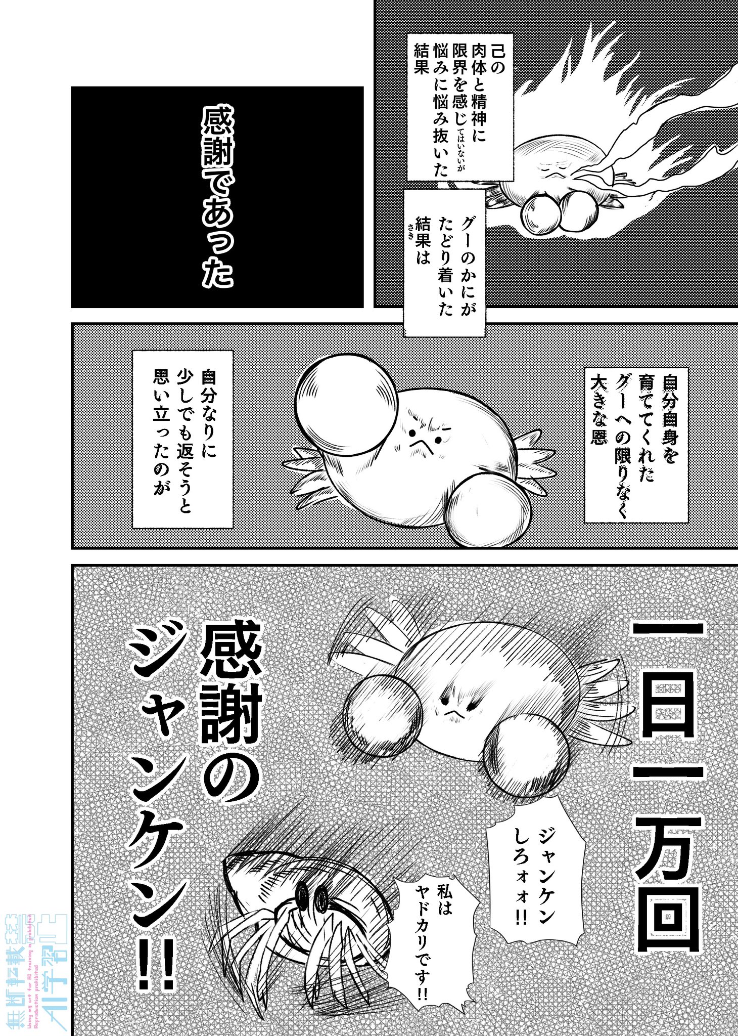 ザリガニページです。 自由研究シリーズ いきもの編 アメリカザリガニ 特別仕様