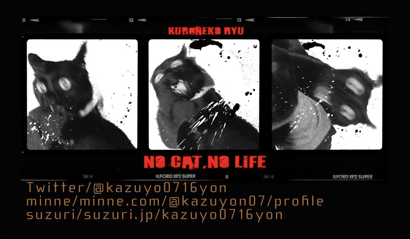 かずよん🐈‍⬛黒猫りゅう🔜9/23・そうさくマーケット3階わ09ab