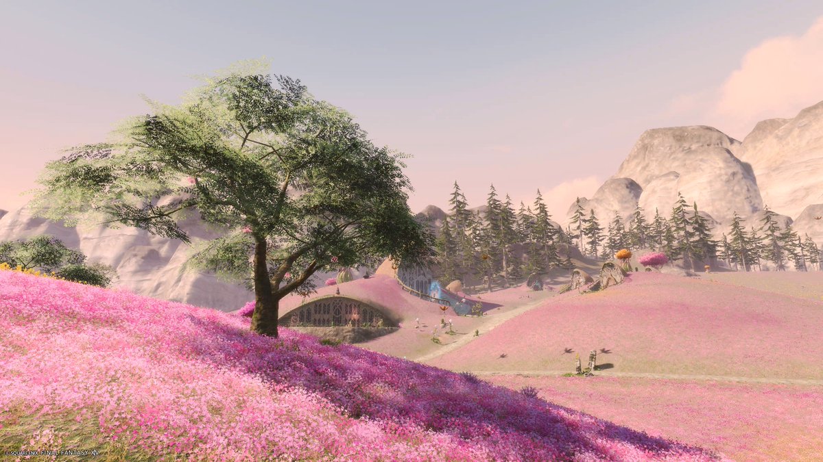 🌳🌼🌲⛰️

#FF14風景