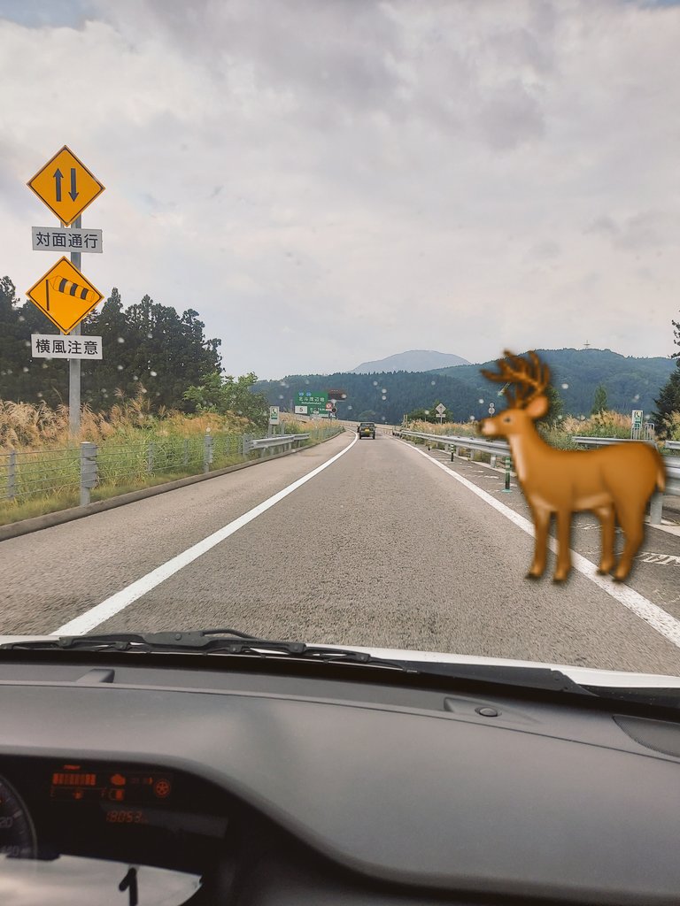 今日仕事で
　山中の道路にて
　　　鹿と遭遇🦌💨

向こうも慣れていて
お行儀良く車が過ぎ去るのを
待ってから道路渡っていたな

#写真はイメージ
#北海道　#鹿