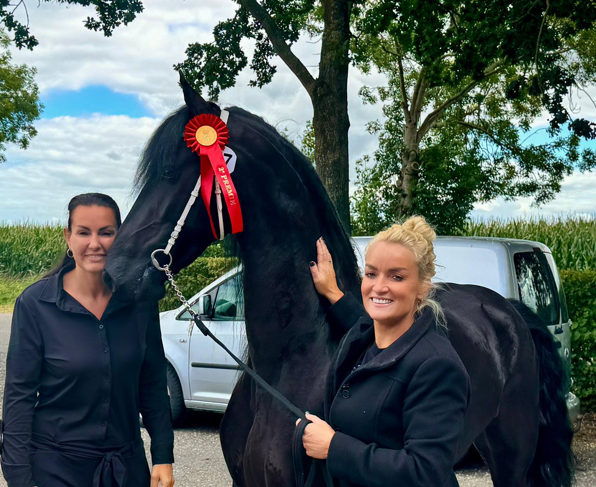 Samantsteenwijk's tweet image. Zo ontiegelijk trots! 🥲 
Onze eerst gefokte Friese paard werd vandaag STER 🌟 gekeurd op de fokdag in Wolvega. Het is zo bijzonder om vanaf de geboorte langs haar zijde te lopen en te mogen genieten van het haar zien opgroeien tot waar ze nu is😍 Dit motiveert zo enorm!
 #Fries