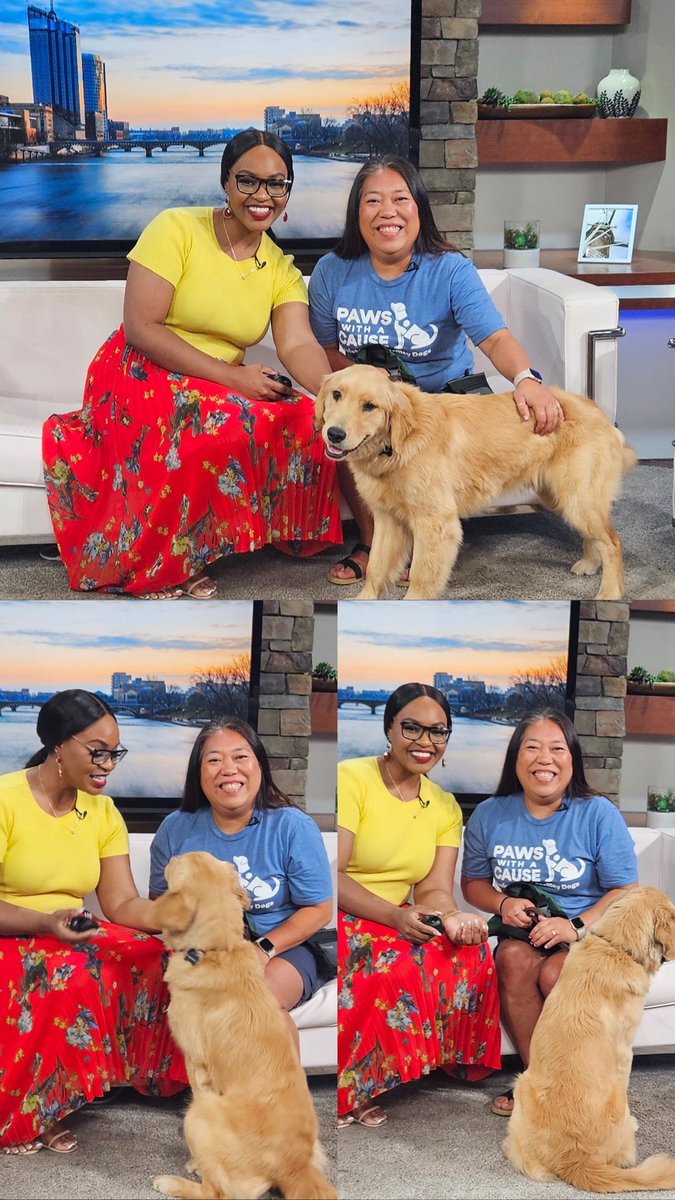 We had the cutest furry guest in-studio this morning! 
Duncan, a custom-trained working dog with Paws with a Cause, and his handler stopped by to talk about the organization’s rebranding and continued efforts to aid those with special needs with service dogs.