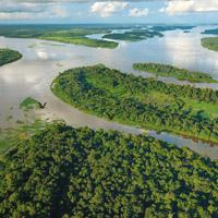 penguin_ccccc's tweet image. 🖥Mist is in the valley, a light mist.🤌Bells hang, bright enough to feel like a call.👮