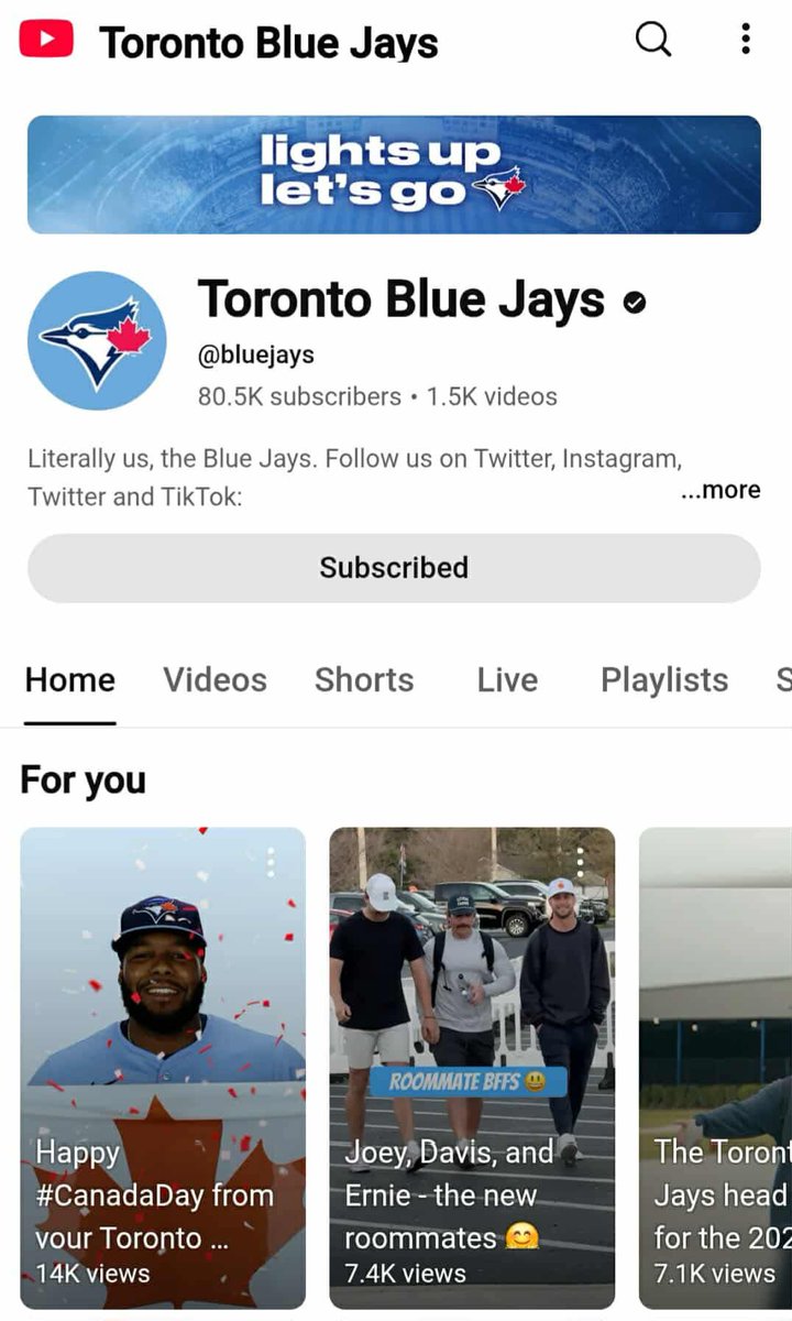 Carrie MacIntosh tweet media