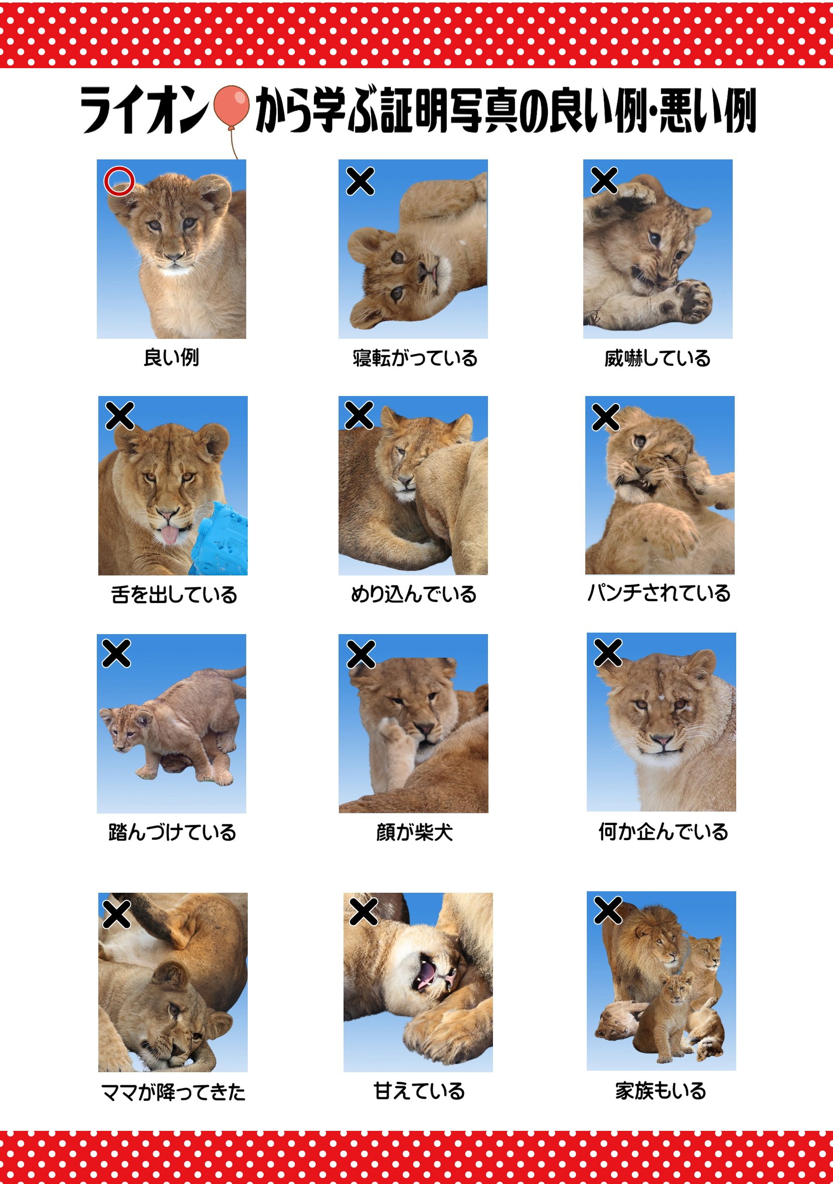 Gちゃんのページ(⑉°-°⑉) 老猿G (@jUj5eBsVJztn6dT) / X