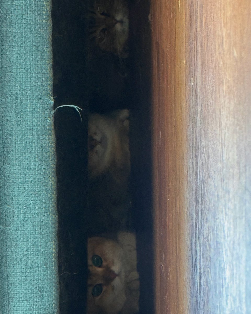 Drake Laedeke tweet media