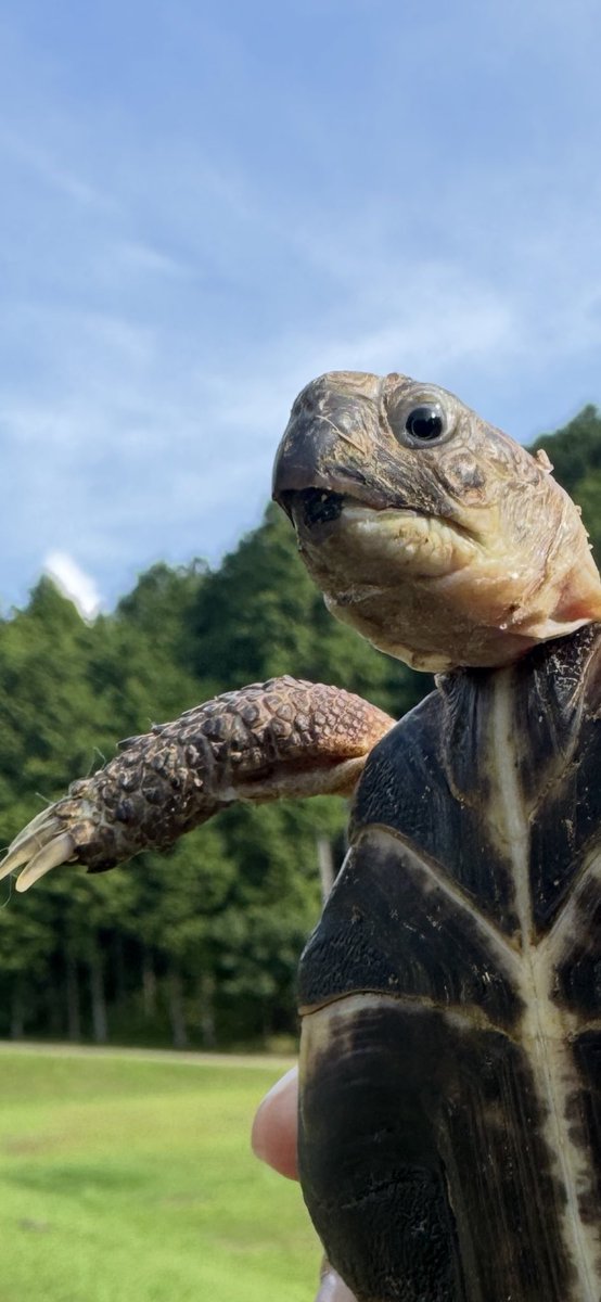 yunagi/ゆうなぎ (@yunaginaginagi) / Posts / X