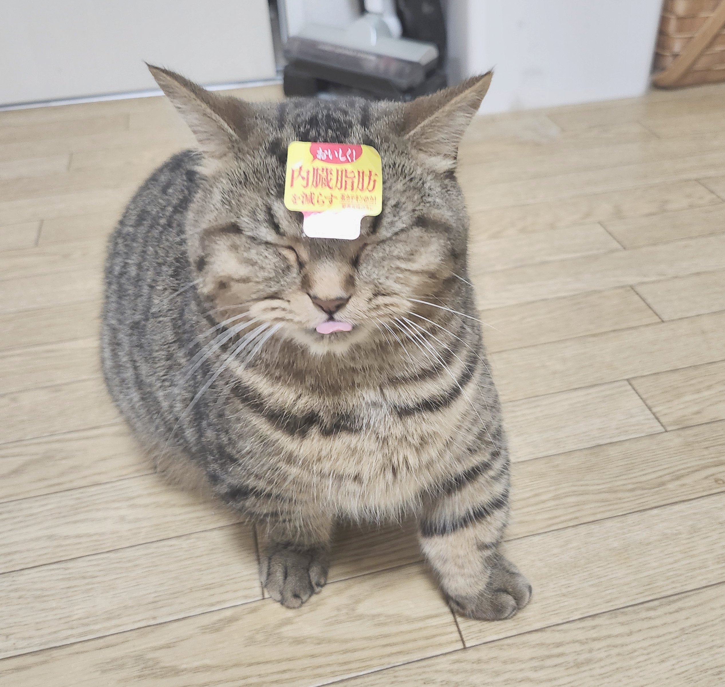 ❤️なずな❤️ なずな (@nazu01_03) / X