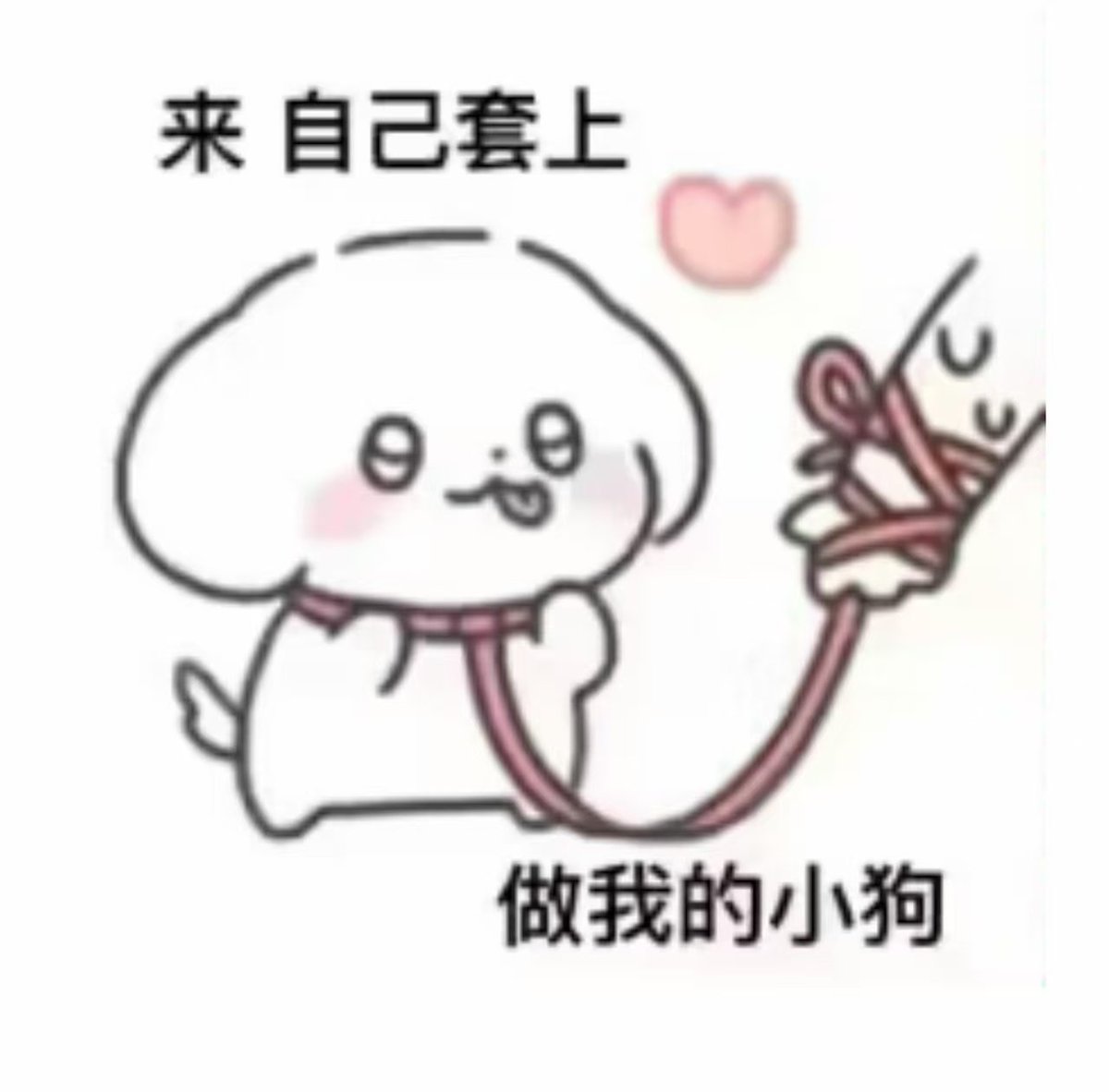 洗脑淫堕 tweet media