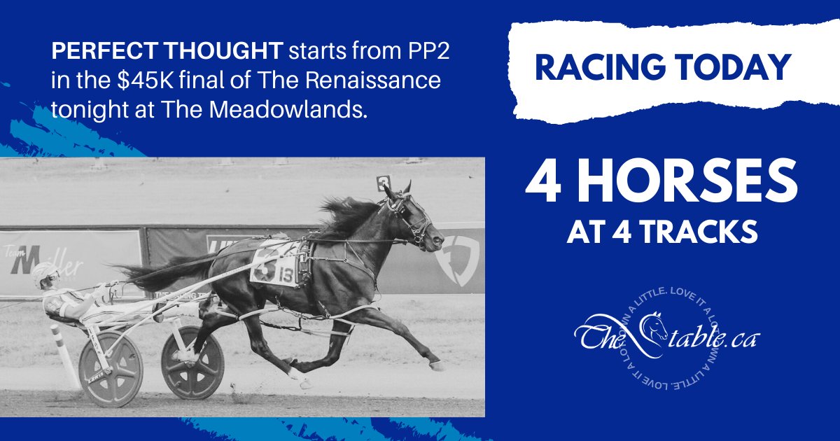 Four starters for Saturday racing at Kawartha Downs, Scioto Downs, Meadowlands Racetrack and Woodbine-Mohawk Park:

thestable.ca/upcoming-races/

#ownalittleloveitalot