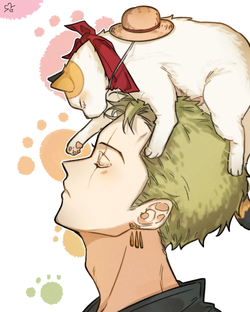 고양이 머리 위로 올려