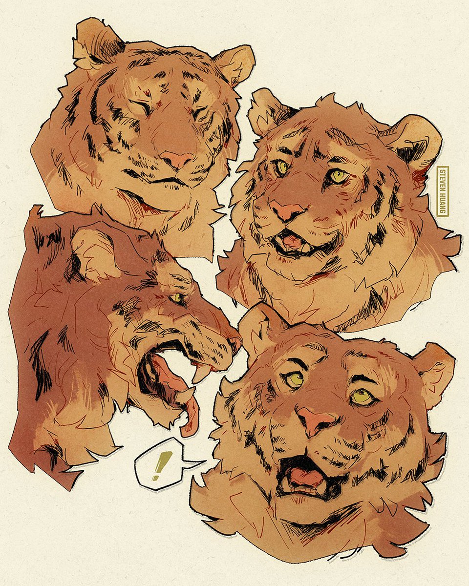 So cardboard box-able...! 🐯