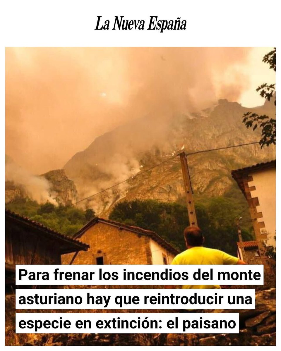 Y que verdad….la única especie en extinción en el mundo rural, es el ser humano….sin él no hay biodiversidad ni desarrollo…..