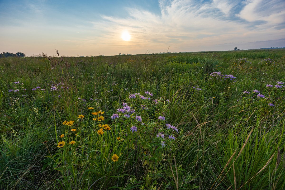 U.S. Fish and Wildlife Service tweet media
