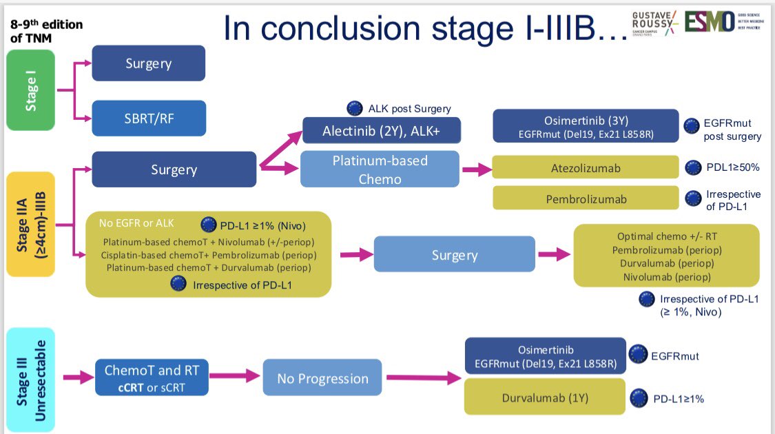d.planchard (@dplanchard) on Twitter photo With targeted therapies and immunotherapy, the progress in treating early-stage NSCLC over the past few years has been impressive, with more and more patients being cured. The remaining goals are prevention and better screening! <a href="/myESMO/">ESMO - Eur. Oncology</a> #esmoacademy2025 With targeted therapies and immunotherapy, the progress in treating early-stage NSCLC over the past few years has been impressive, with more and more patients being cured. The remaining goals are prevention and better screening! <a href="/myESMO/">ESMO - Eur. Oncology</a> #esmoacademy2025